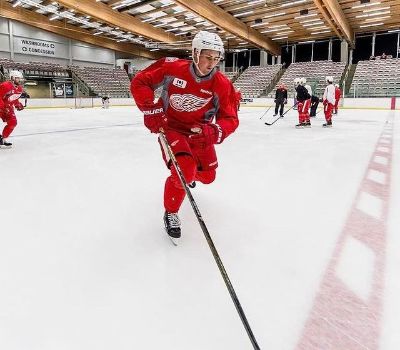 Thorsten Kaye was an active blogger for the Detroit Red Wings.